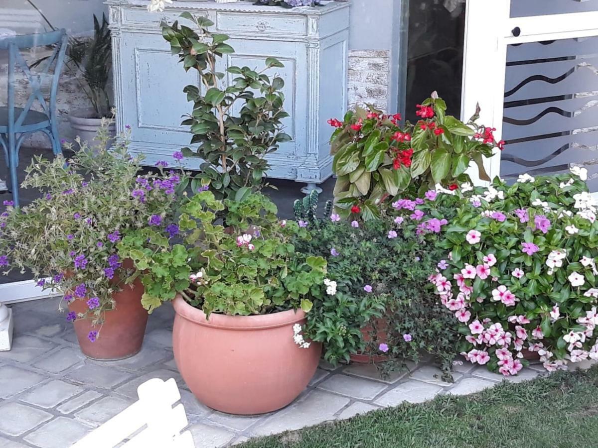 B&B San Valerio Occimiano Kültér fotó